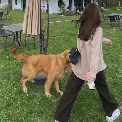 公主小妹